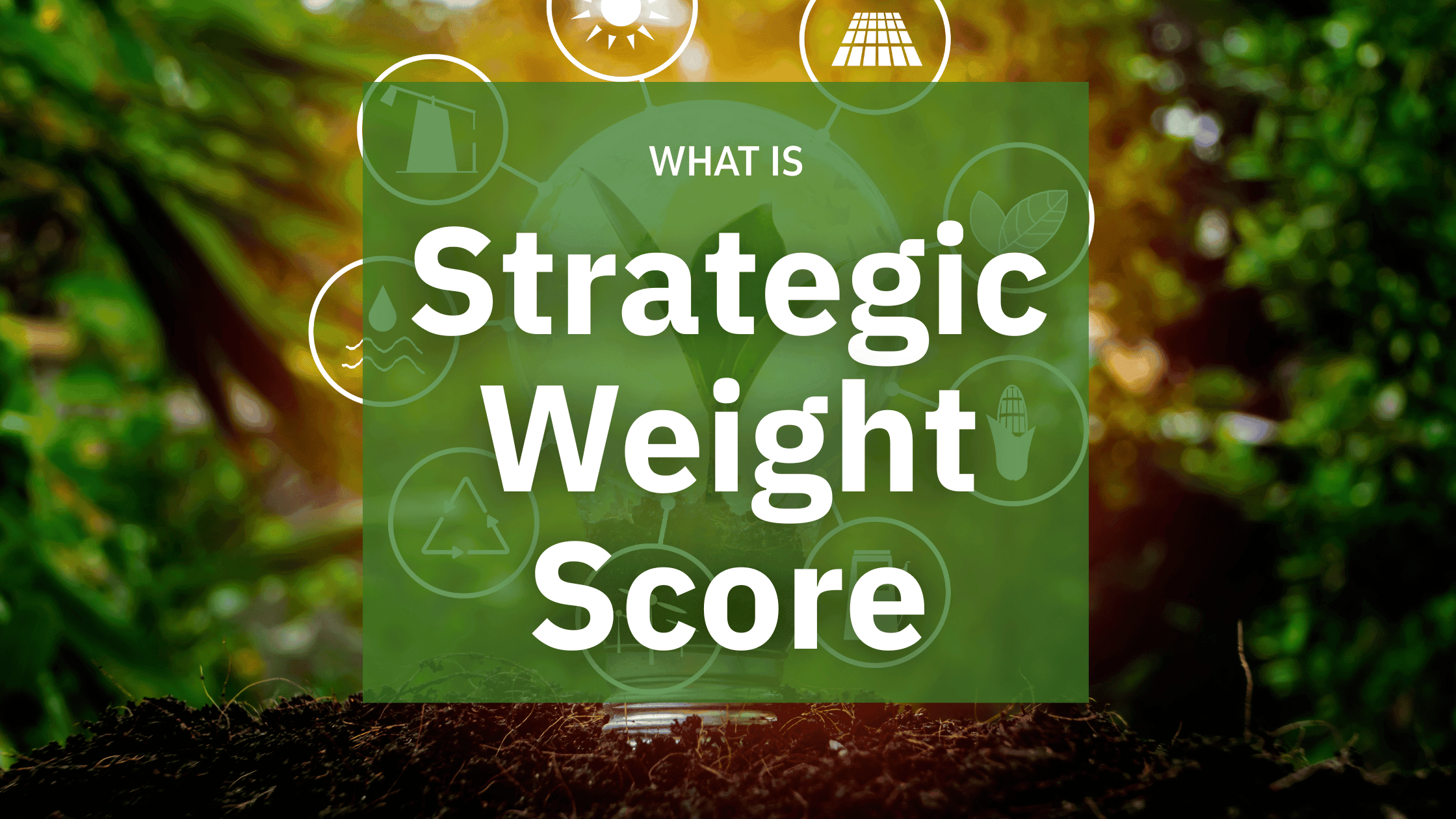 Understanding the Strategic Weight Score (SWS): A Framework for Energy Policy Analysis